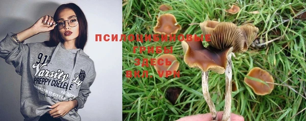 скорость Белокуриха