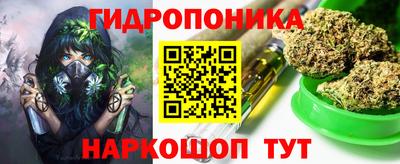 СК Волгодонск