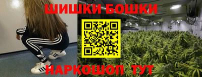 СК Волгодонск