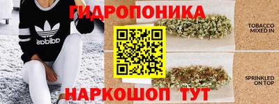 ПСИЛОЦИБИНОВЫЕ ГРИБЫ Волжский