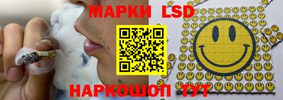 СК Волгодонск