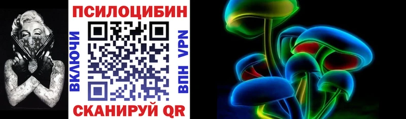 blacksprut зеркало  Лыткарино  Псилоцибиновые грибы прущие грибы 