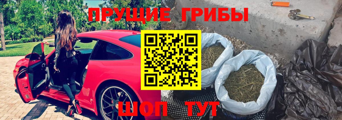 Лыткарино  Галлюциногенные грибы Magic Shrooms  Вход с VPN 