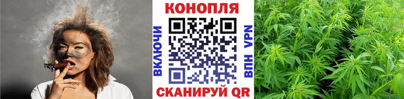 сколько стоит  Лыткарино  кракен онион  Канабис конопля 